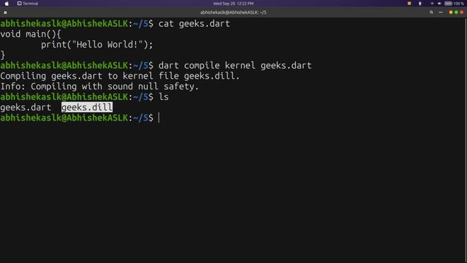Compiling Dart Program using multiple options - GeeksforGeeks