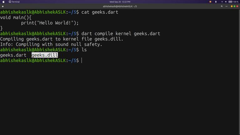 Compiling Dart Program using multiple options - GeeksforGeeks