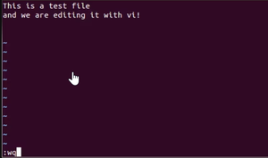 how to Enter in Editing Mode in VI Editor - GeeksforGeeks