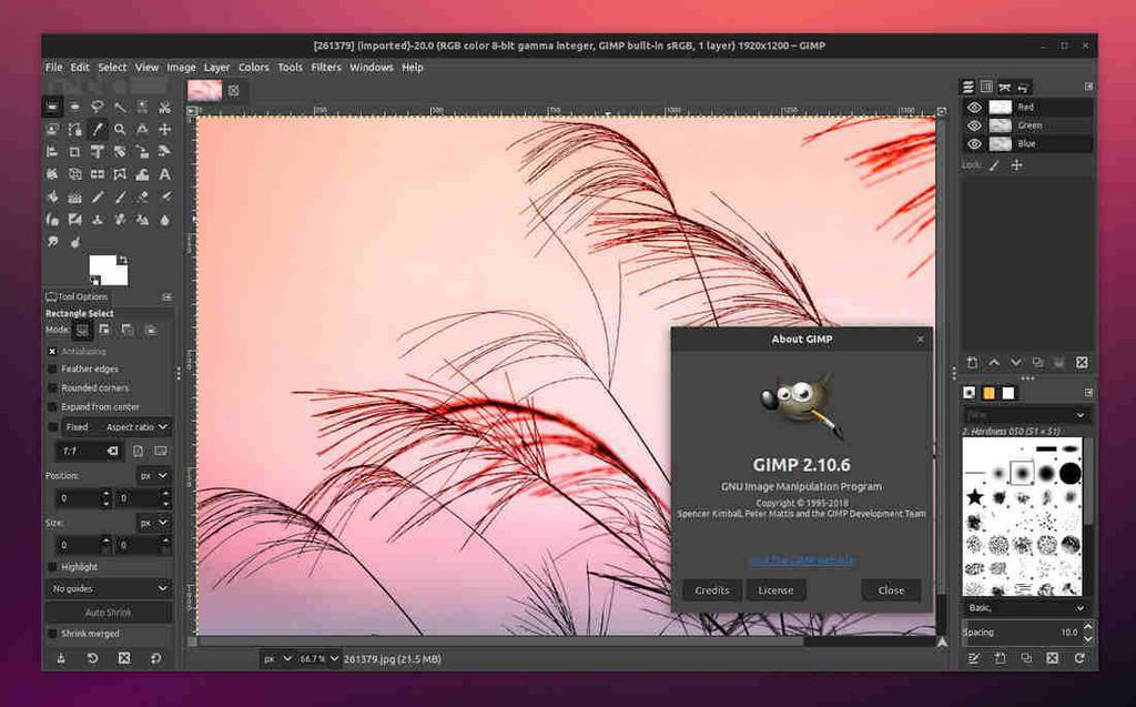 Best Open-source Paint Tool for Kali Linux - GeeksforGeeks