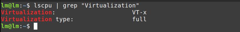 Linux Console Vt linux - How to detect if VT-X has been turned on in the BIOS ...