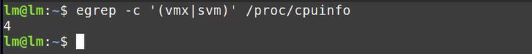 Linux Console Vt linux - How to detect if VT-X has been turned on in the BIOS ...