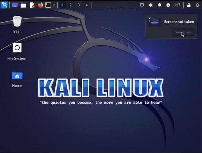 kali linux screenshots