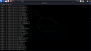 How to Update sudo Version on Linux - GeeksforGeeks