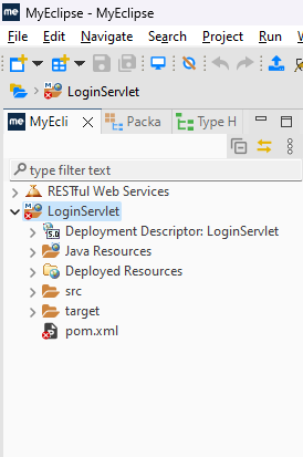 Project structure servlets myeclipse