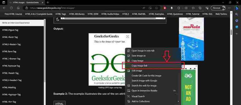 Copy-a-Web-Image-URL-in-Edge-Browser-01