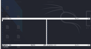 Vim Text Buffers in Linux - GeeksforGeeks