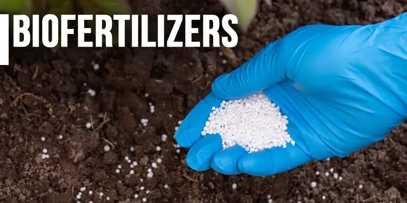 Biofertilizers