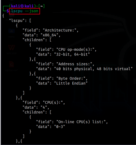 Displaying CPU information in JSON Format