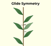 Cimmetry Symmetry in Maths - GeeksforGeeks