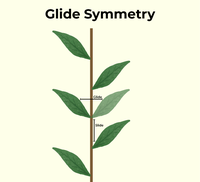 Cimmetry Symmetry in Maths - GeeksforGeeks