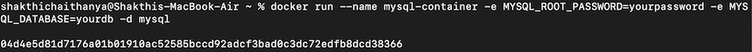 Running mySQL in Docker Container
