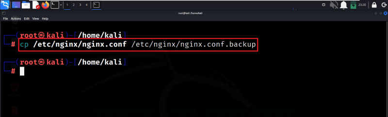 Backup Nginx Configuration