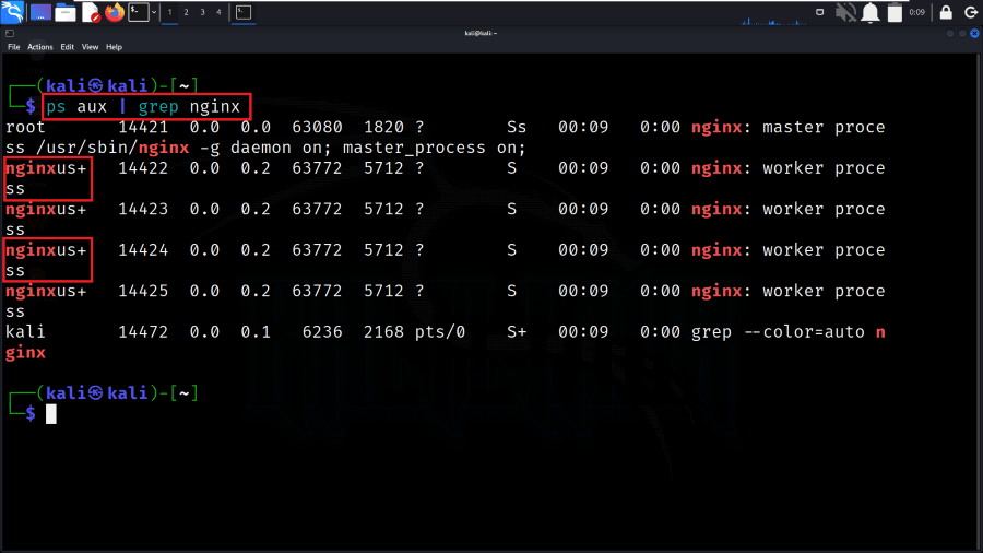 Verify the Configuration (non-root)