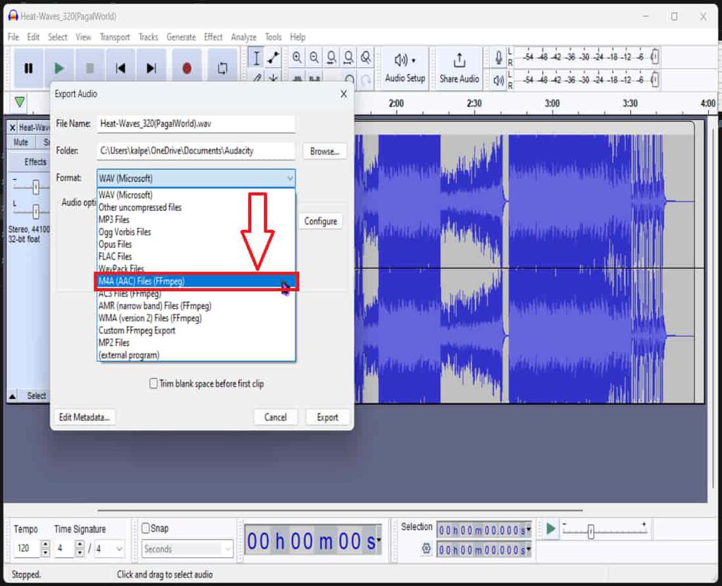 Acc Format: Aac Format Audio _ Formát AAC: Vše, co byste měli vědět o ...