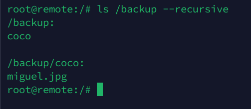 ls-backup---recursive