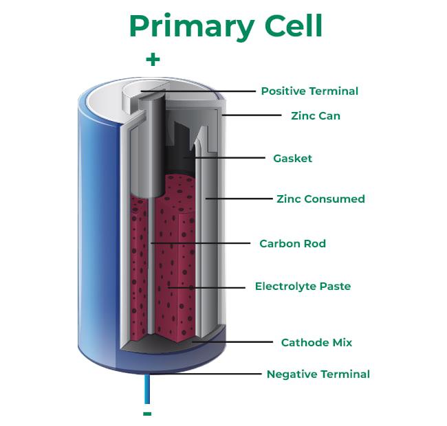 Cell Circuit Function