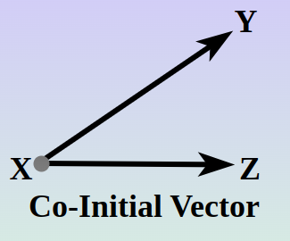 Co-initial-Vector