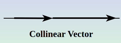 Collinear-Vector