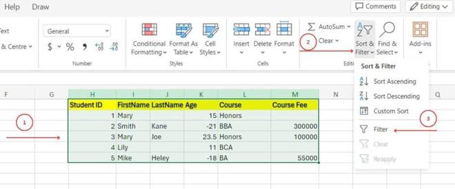 Go Home tab then navigate to Sort & Filter and choose Filter