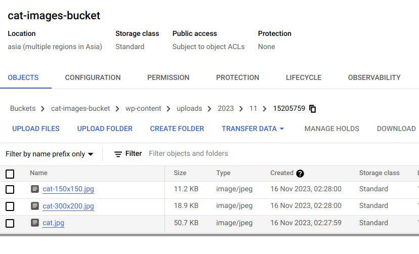 Integrating Google Cloud Storage with WordPress: Storing Media Files ...