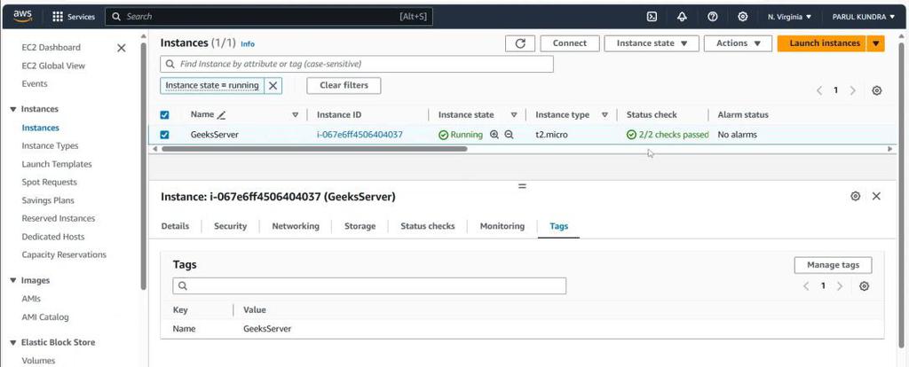 Mark Instance AWS EC2(Instance Type, Tenancy & Placement Group) - GeeksforGeeks