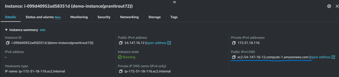 copy-ec2-dns