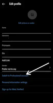 Click on Switch to Professional Account option