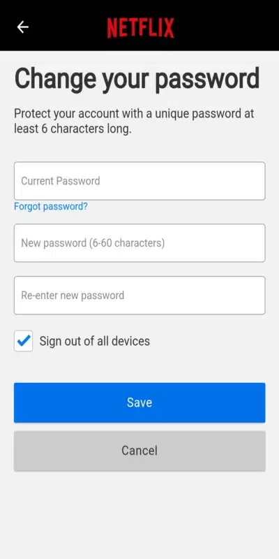 Netflix New Password