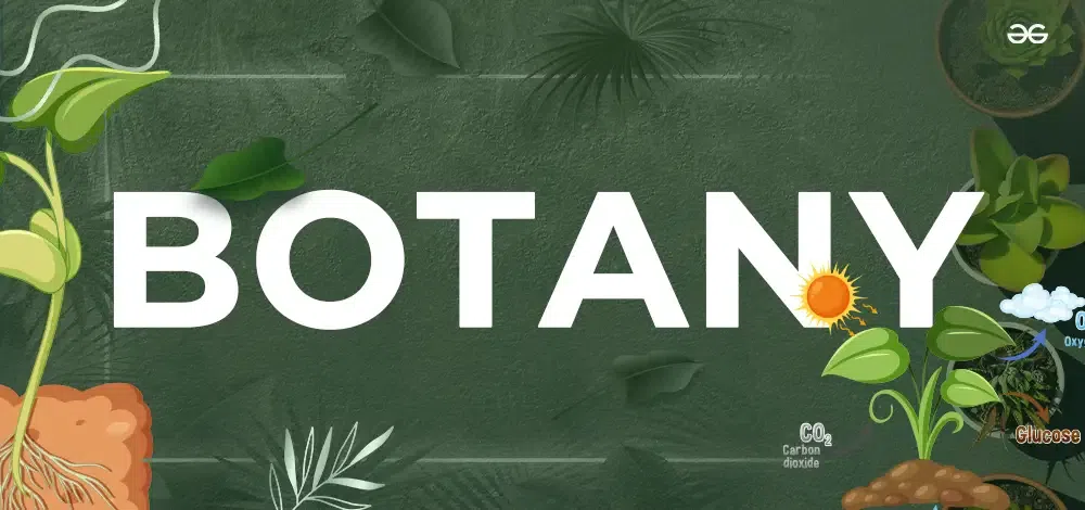 Botany - Definition, History, Branches, & Importance of Botany