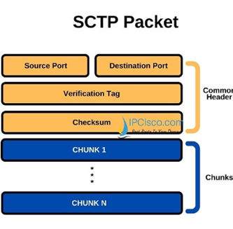 SCTP Packet