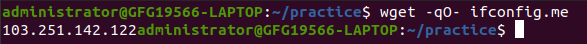 Using `wget` with `ifconfig.me` to Find Your IP Address in Linux