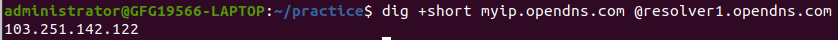 Using `dig` with `resolver1.opendns.com` to Find Your IP Address in Linux