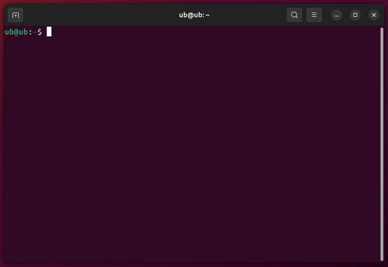 Open Ubuntu's Terminal