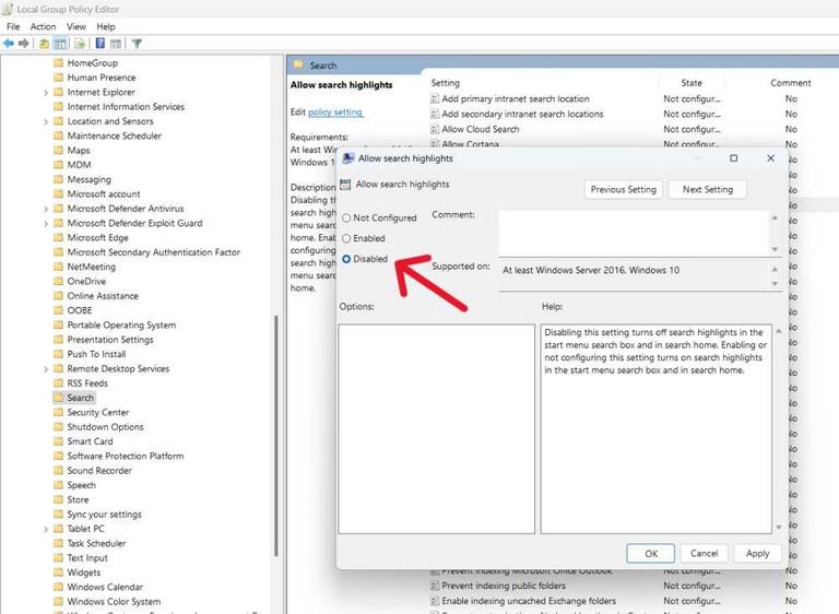 How to Turn Off Search Highlights on Windows 11 - GeeksforGeeks