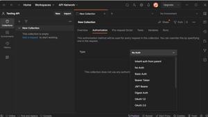 What are the different authentication types available in Postman ...