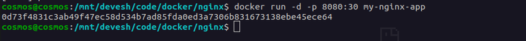 Running the Docker Container