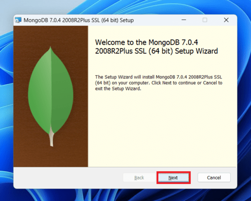 mongodb setup wizard