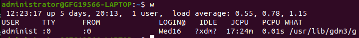 Using `w` Command to List Current Logged-in Users in Linux