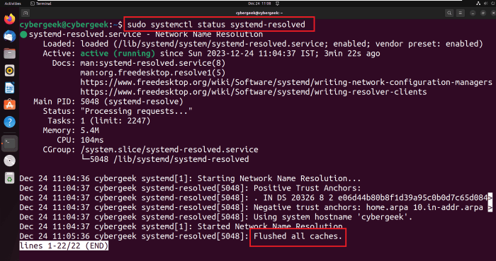 Verifying the DNS Cache Flush