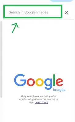 add-pictures-google-docs-desktop-by-searching-web-pic4