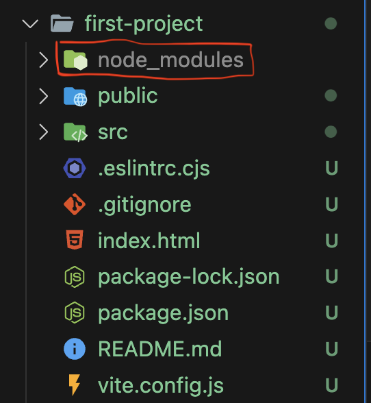 node_modules