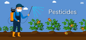 Pesticides - GeeksforGeeks