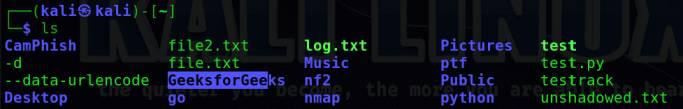 Listing files and directories of /home/kali