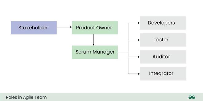 Agile Team | Characteristics, Roles & Responsibilities - GeeksforGeeks