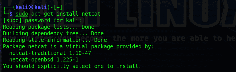 $ sudo apt-get install netcat ouput