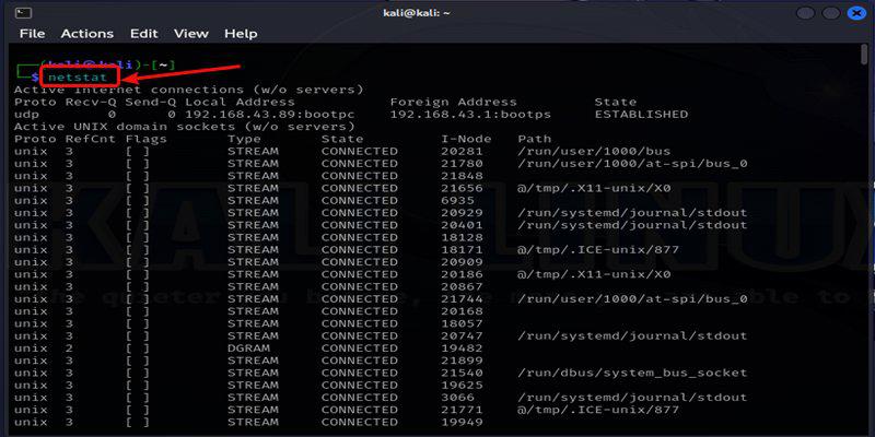 Network Connections , Open Ports , Packets & Protocols using netstat Command