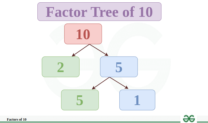 Factors-Tree-of-10