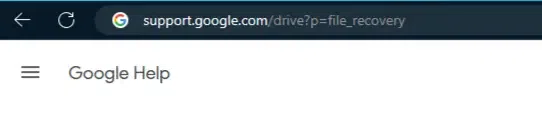 Visit Google Support Driver