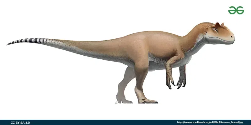 Allosaurus